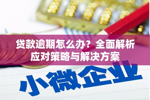 武强贷款逾期怎么办？全面解析应对策略与解决方案