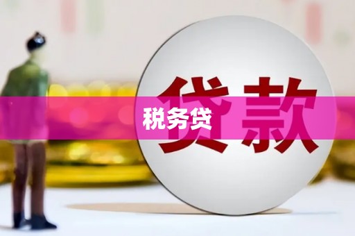 武强税务贷