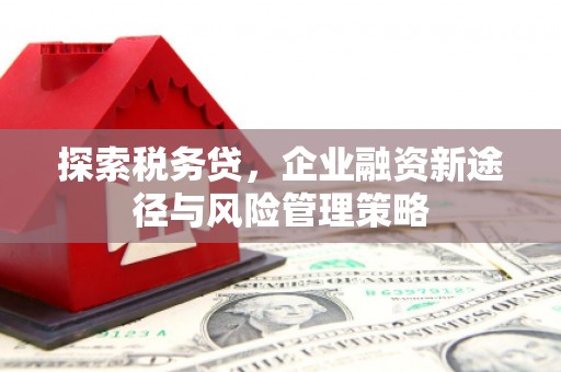 武强探索税务贷，企业融资新途径与风险管理策略