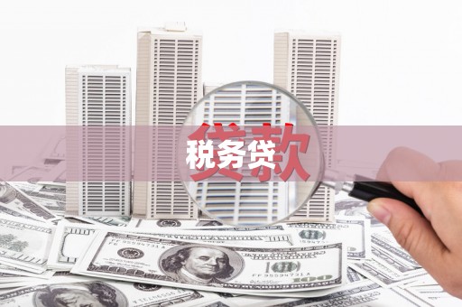 武强税务贷