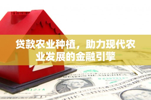 武强贷款农业种植，助力现代农业发展的金融引擎