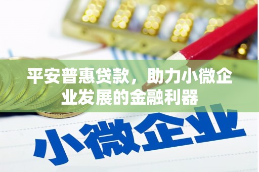 武强平安普惠贷款，助力小微企业发展的金融利器
