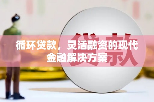 武强循环贷款，灵活融资的现代金融解决方案