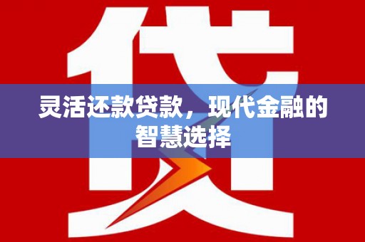 武强灵活还款贷款，现代金融的智慧选择