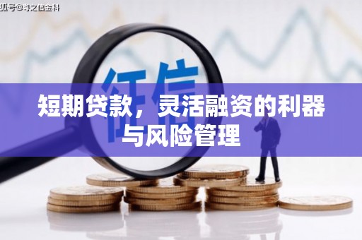 武强短期贷款，灵活融资的利器与风险管理