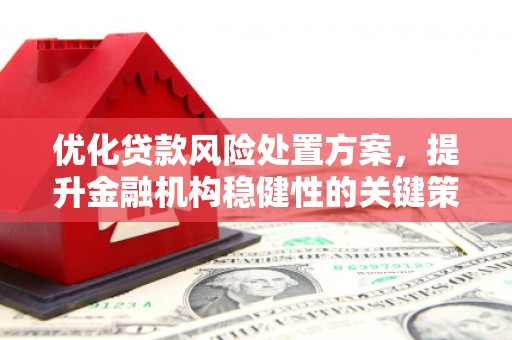 武强优化贷款风险处置方案，提升金融机构稳健性的关键策略