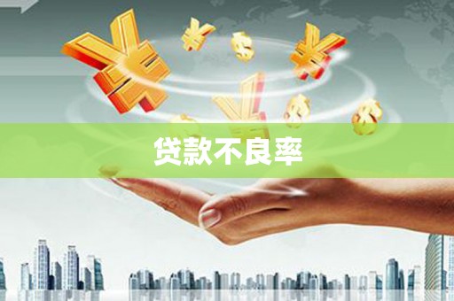 武强贷款不良率