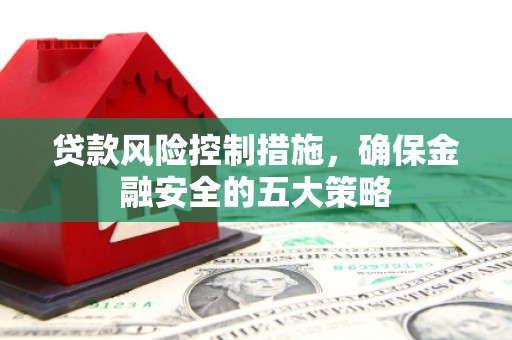 武强贷款风险控制措施，确保金融安全的五大策略