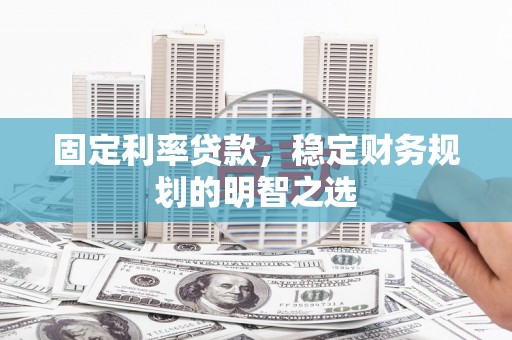 武强固定利率贷款，稳定财务规划的明智之选
