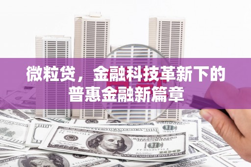武强微粒贷，金融科技革新下的普惠金融新篇章