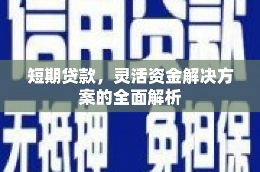 武强短期贷款，灵活资金解决方案的全面解析