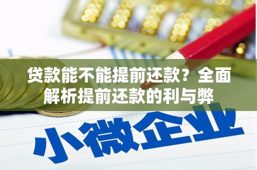 武强贷款能不能提前还款？全面解析提前还款的利与弊