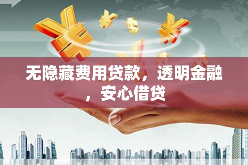 武强无隐藏费用贷款，透明金融，安心借贷