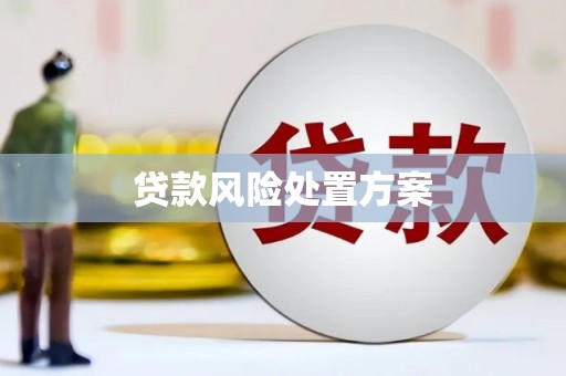 武强贷款风险处置方案