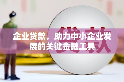 武强企业贷款，助力中小企业发展的关键金融工具