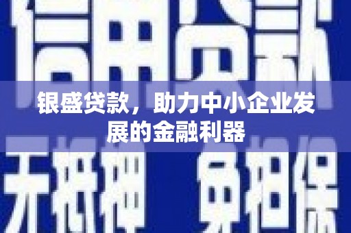 武强银盛贷款，助力中小企业发展的金融利器