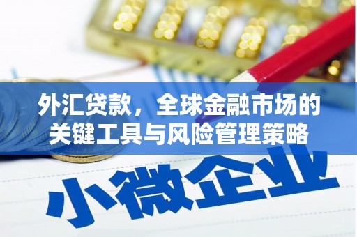 武强外汇贷款，全球金融市场的关键工具与风险管理策略