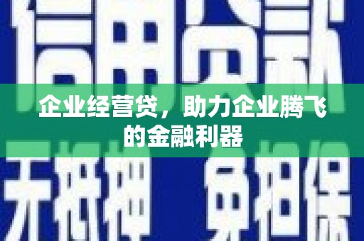 武强企业经营贷，助力企业腾飞的金融利器