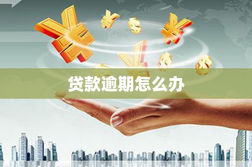 武强贷款逾期怎么办