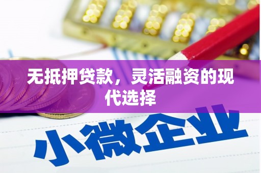 武强无抵押贷款，灵活融资的现代选择