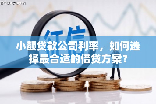 武强小额贷款公司利率，如何选择最合适的借贷方案？
