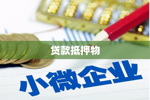 武强贷款抵押物