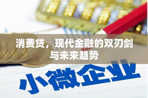 武强消费贷，现代金融的双刃剑与未来趋势