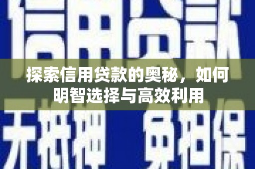 武强探索信用贷款的奥秘，如何明智选择与高效利用