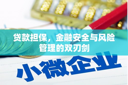 武强贷款担保，金融安全与风险管理的双刃剑