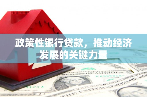 武强政策性银行贷款，推动经济发展的关键力量