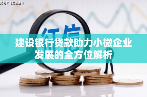 武强建设银行贷款助力小微企业发展的全方位解析