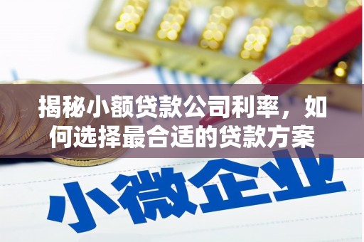 武强揭秘小额贷款公司利率，如何选择最合适的贷款方案