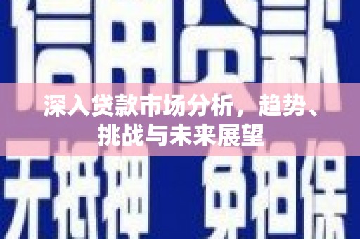 武强深入贷款市场分析，趋势、挑战与未来展望