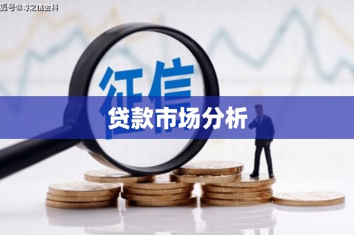 武强贷款市场分析