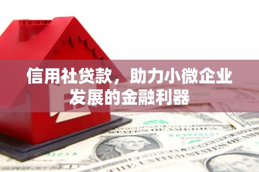 武强信用社贷款，助力小微企业发展的金融利器