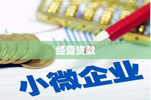 武强经营贷款