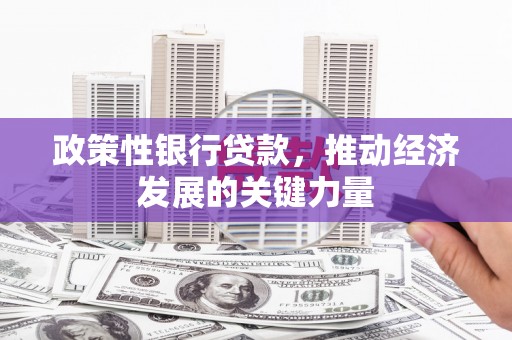 武强政策性银行贷款，推动经济发展的关键力量