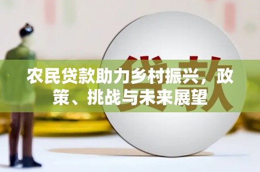 武强农民贷款助力乡村振兴，政策、挑战与未来展望