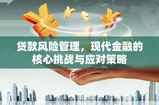 武强贷款风险管理，现代金融的核心挑战与应对策略