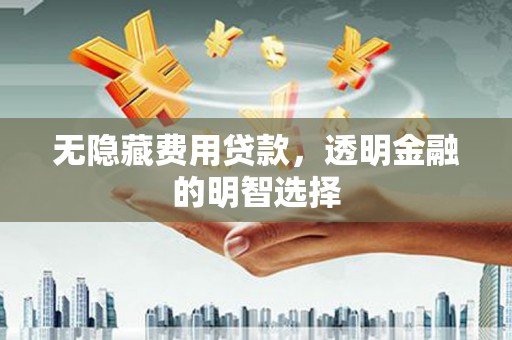 武强无隐藏费用贷款，透明金融的明智选择