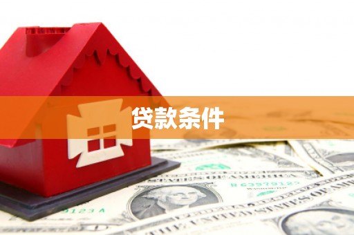 武强贷款条件