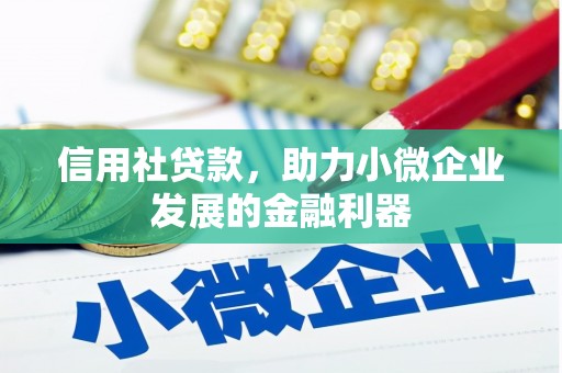 武强信用社贷款，助力小微企业发展的金融利器