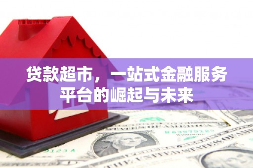 武强贷款超市，一站式金融服务平台的崛起与未来