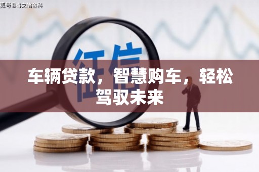武强车辆贷款，智慧购车，轻松驾驭未来