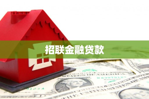 武强招联金融贷款