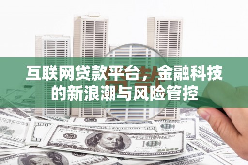 武强互联网贷款平台，金融科技的新浪潮与风险管控