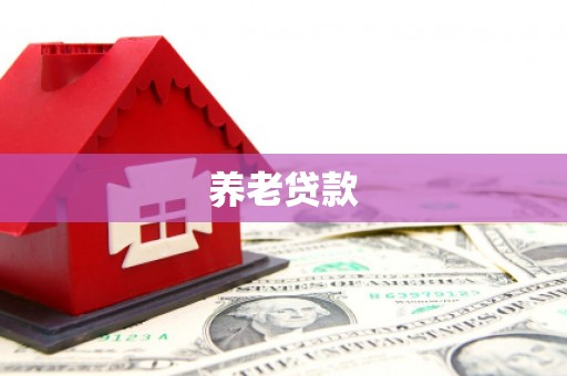 武强养老贷款