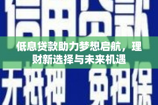 武强低息贷款助力梦想启航，理财新选择与未来机遇