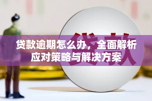 武强贷款逾期怎么办，全面解析应对策略与解决方案