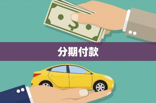 武强分期付款